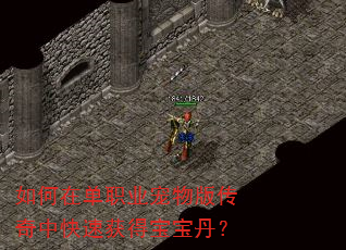 ����ڵ�ְҵ����洫���п��ٻ�ñ�������