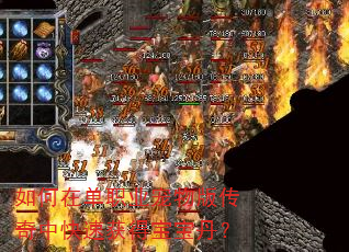 ����ڵ�ְҵ����洫���п��ٻ�ñ�������