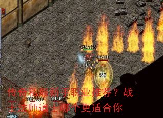 ����˽������ְҵ�Ƽ���սʿ��ʦ��ʿ�ĸ����ʺ���