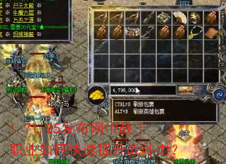 1.71.85��������սʿְҵ��ο�������ս������