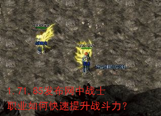 1.71.85��������սʿְҵ��ο�������ս������