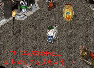 1.71.85��������սʿְҵ��ο�������ս������