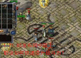 1.71.85��������սʿְҵ��ο�������ս������