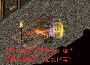 ����˽��SF��վ�ϼ�����Щʵ�ù��Լ�����ܿ�ָ�ϣ�