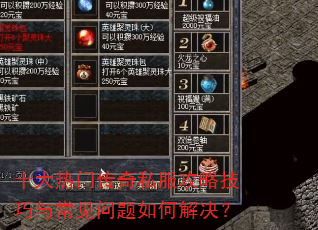 ʮ�����Ŵ���˽�����Լ����볣��������ν����