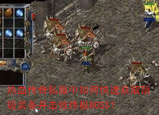 ��Ѫ����˽������ο��ٻ�ȡ����װ���������ռ�BOSS��