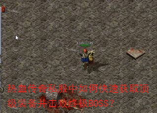 ��Ѫ����˽������ο��ٻ�ȡ����װ���������ռ�BOSS��