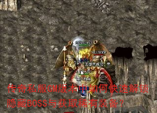 ����˽��GM�汾����ο��ٽ�������BOSS���ȡϡ��װ����