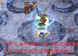 ����˽�����ɷ������ο���������ְҵѡ����ˢ��·������Щ���ɣ�