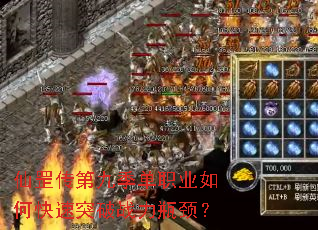 ����ھż���ְҵ��ο���ͻ��ս��ƿ����
