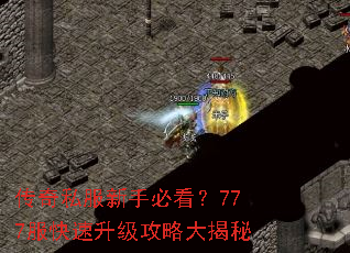 传奇私服新手必看?777服快速升级攻略大揭秘 传奇私服新手必看?777服快速升级攻略大揭秘
