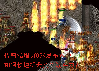 ����˽��sf079����������ο���������ɫս������