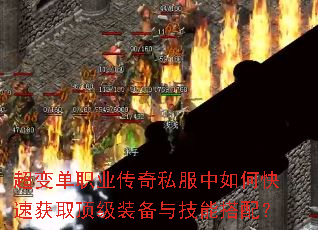 ���䵥ְҵ����˽������ο��ٻ�ȡ����װ���뼼�ܴ��䣿