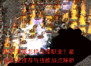 ������������ѡ��ְҵ����ǿְҵ�Ƽ��뼼�ܼӵ����