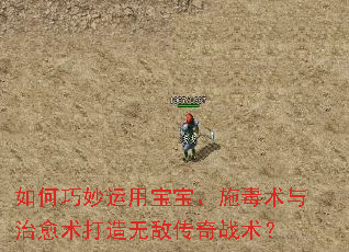 如何巧妙运用宝宝、施毒术与治愈术打造无敌传奇战术? 如何巧妙运用宝宝、施毒术与治愈术打造无敌传奇战术?