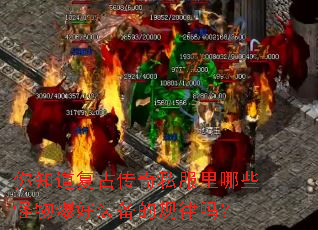 ��֪�����Ŵ���˽������Щ���ﱬ��װ���Ĺ�����