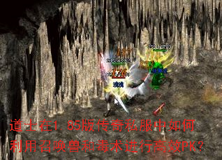 ��ʿ��1.85�洫��˽������������ٻ��޺Ͷ������и�ЧPK��