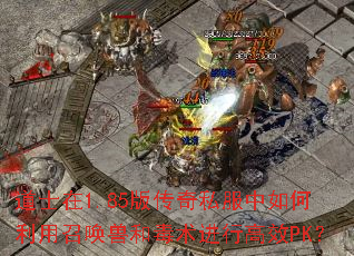 ��ʿ��1.85�洫��˽������������ٻ��޺Ͷ������и�ЧPK��