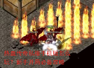 ��Ѫ����˽���ֻ�����ô�棿���ֿ��ֱر�����