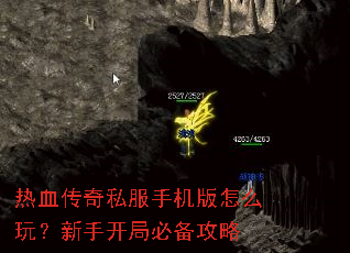 ��Ѫ����˽���ֻ�����ô�棿���ֿ��ֱر�����
