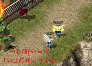����˽��PVP��PVEְҵ�۷����ѡ��