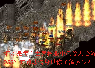 ˭���Ǵ�������˽���������������BOSS�����ı����������˽���٣�