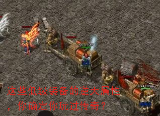 ��Щ�ͼ�װ�����������ԣ���ȷ����������棿