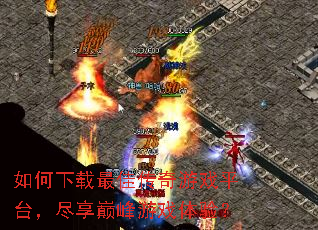 ���������Ѵ�����Ϸƽ̨�������۷���Ϸ���飿
