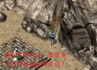���ؿ�����;��΢�临�Ŵ���˽����ο�����