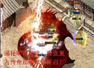 ���ؿ�����;��΢�临�Ŵ���˽����ο�����