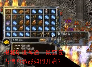 ���ؿ�����;��΢�临�Ŵ���˽����ο�����
