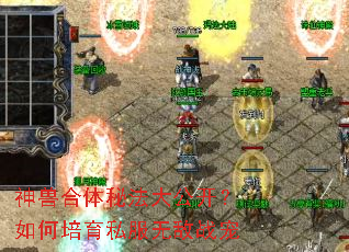 ���޺����ط��󹫿����������˽���޵�ս��