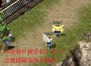 ������Ƭ�����������ֵ㲦�����������