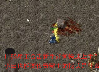 1.80星王合击新手如何快速上手?小白也能变传奇霸主的秘诀是什么? 1.80星王合击新手如何快速上手?小白也能变传奇霸主的秘诀是什么?