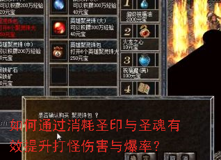 ���ͨ������ʥӡ��ʥ����Ч��������˺��뱬�ʣ�
