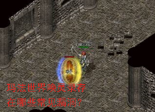 �귨���绽��¼������Щ����©����