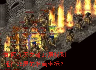 �������֮��37���ҵ�ͨ��38���׼ȷ���ꣿ