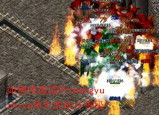 ��ο�������shengyuzhiye��ɫ��ս���ȼ���