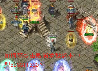 ��θ�Ч��������¾��������BOSS11320��
