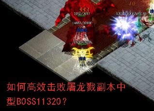��θ�Ч��������¾��������BOSS11320��