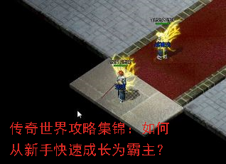 �������繥�Լ�������δ����ֿ��ٳɳ�Ϊ������