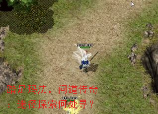 ̤���귨���ʵ����棺�Ծ�̽���δ�Ѱ��