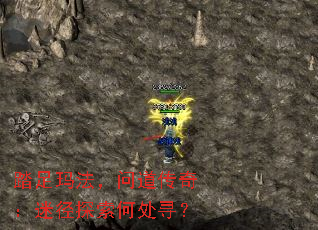 ̤���귨���ʵ����棺�Ծ�̽���δ�Ѱ��