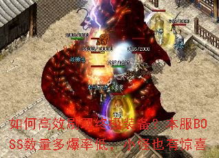 ��θ�Чˢȡ�ռ�װ��������BOSS�����౬�ʵͣ�С��Ҳ�о�ϲ