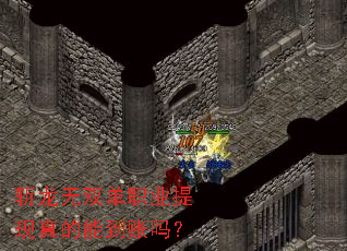 ն����˫��ְҵ��������ܵ�����