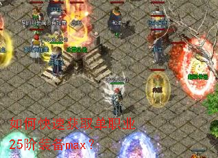 ��ο��ٻ�ȡ��ְҵ25��װ��max��