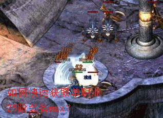 ��ο��ٻ�ȡ��ְҵ25��װ��max��