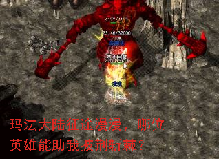 �귨��½��;��������λӢ������������ն����