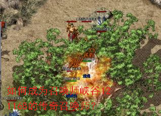 ��γ�Ϊ�ٻ�ʦϿ��121168�Ĵ����ٻ�ʦ��