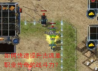 ��ο��������Ż굥ְҵ�����ս������